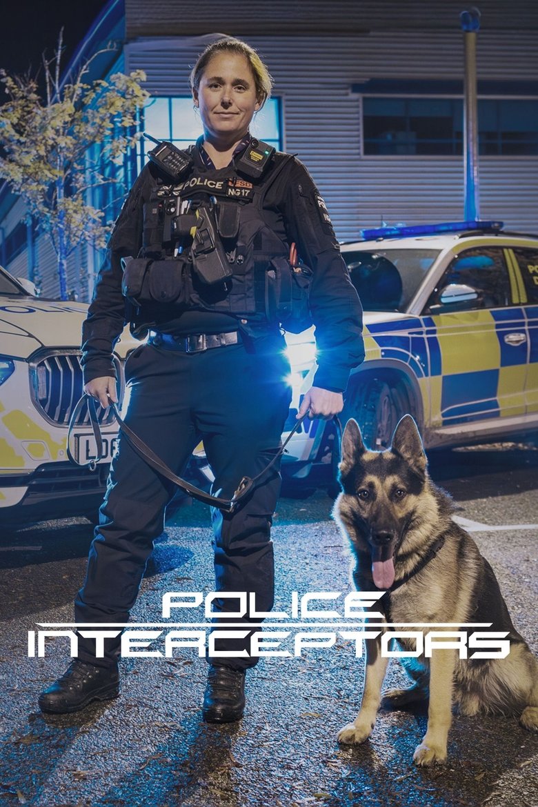 poster image of movie or series