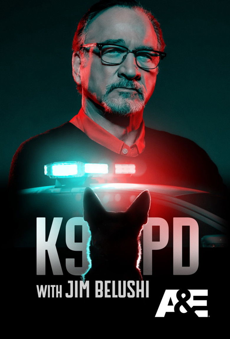 poster image of movie or series